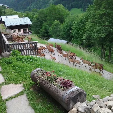 Le Nid D'aigle * Areches